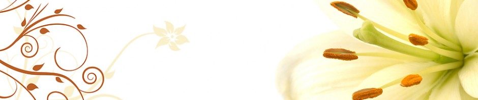 Fatma Betül Aysan Bedir